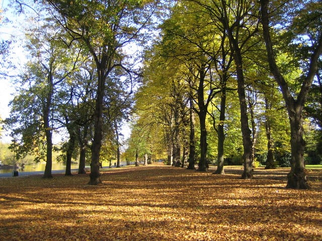 Barking Park — Barking Park