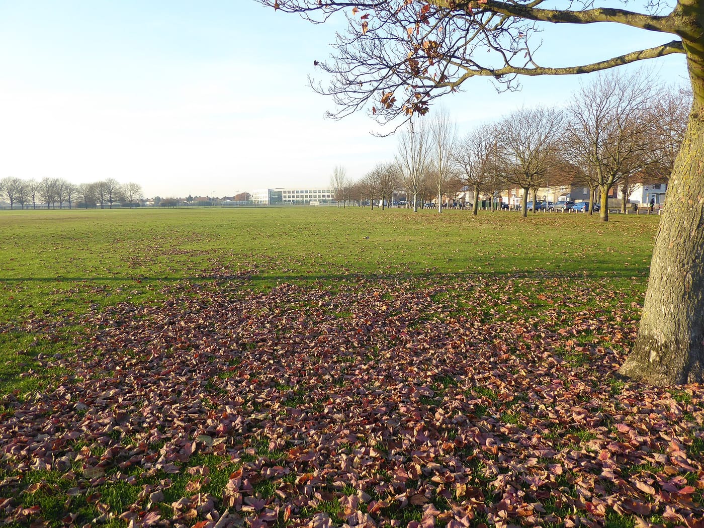 Parsloes Park — Parsloes Park
