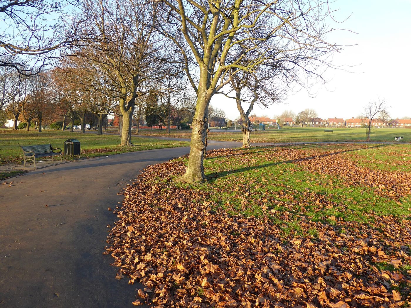 Valence Park — Valence Park