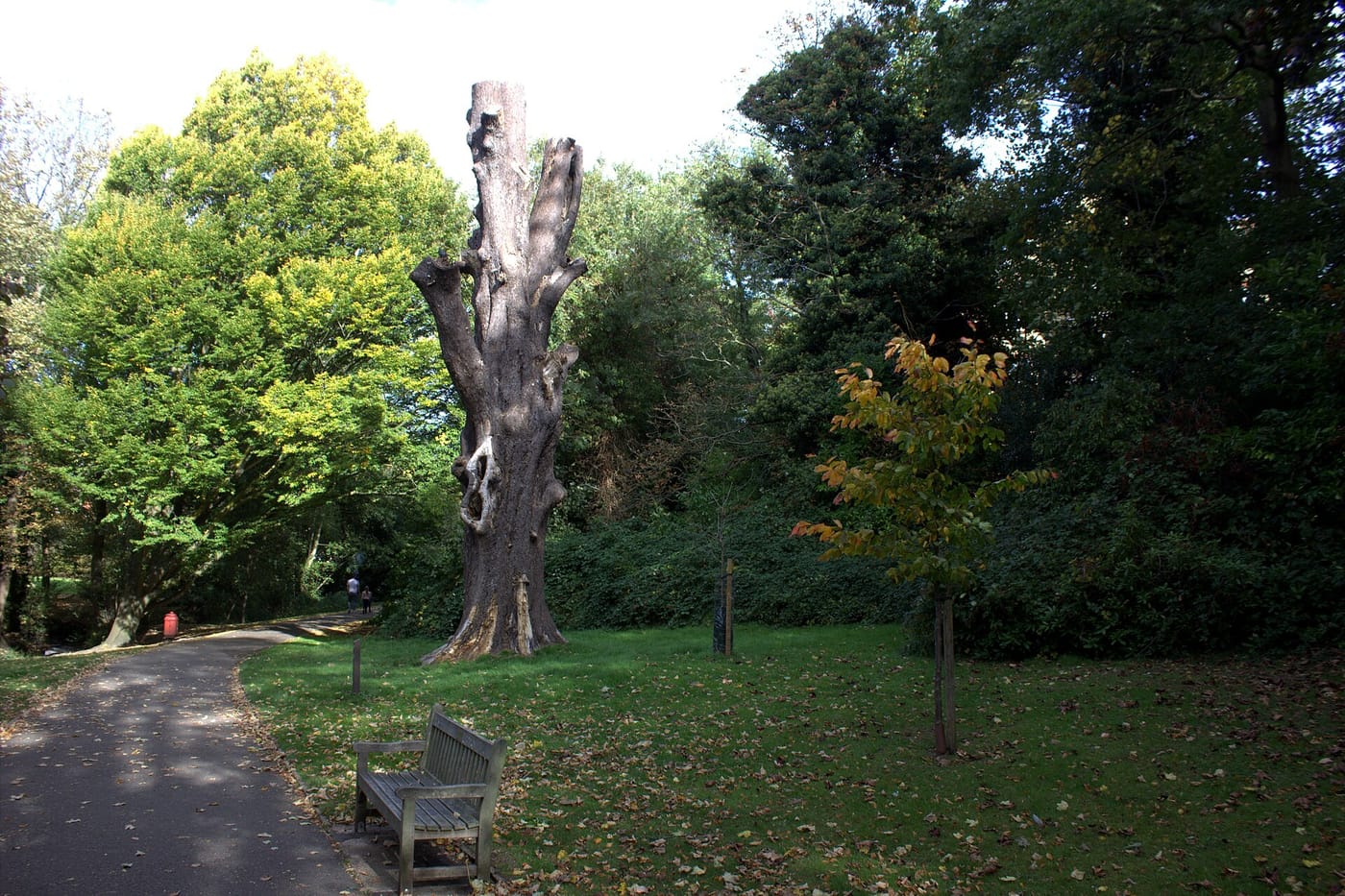 Kelsey Park — Kelsey Park, Beckenham