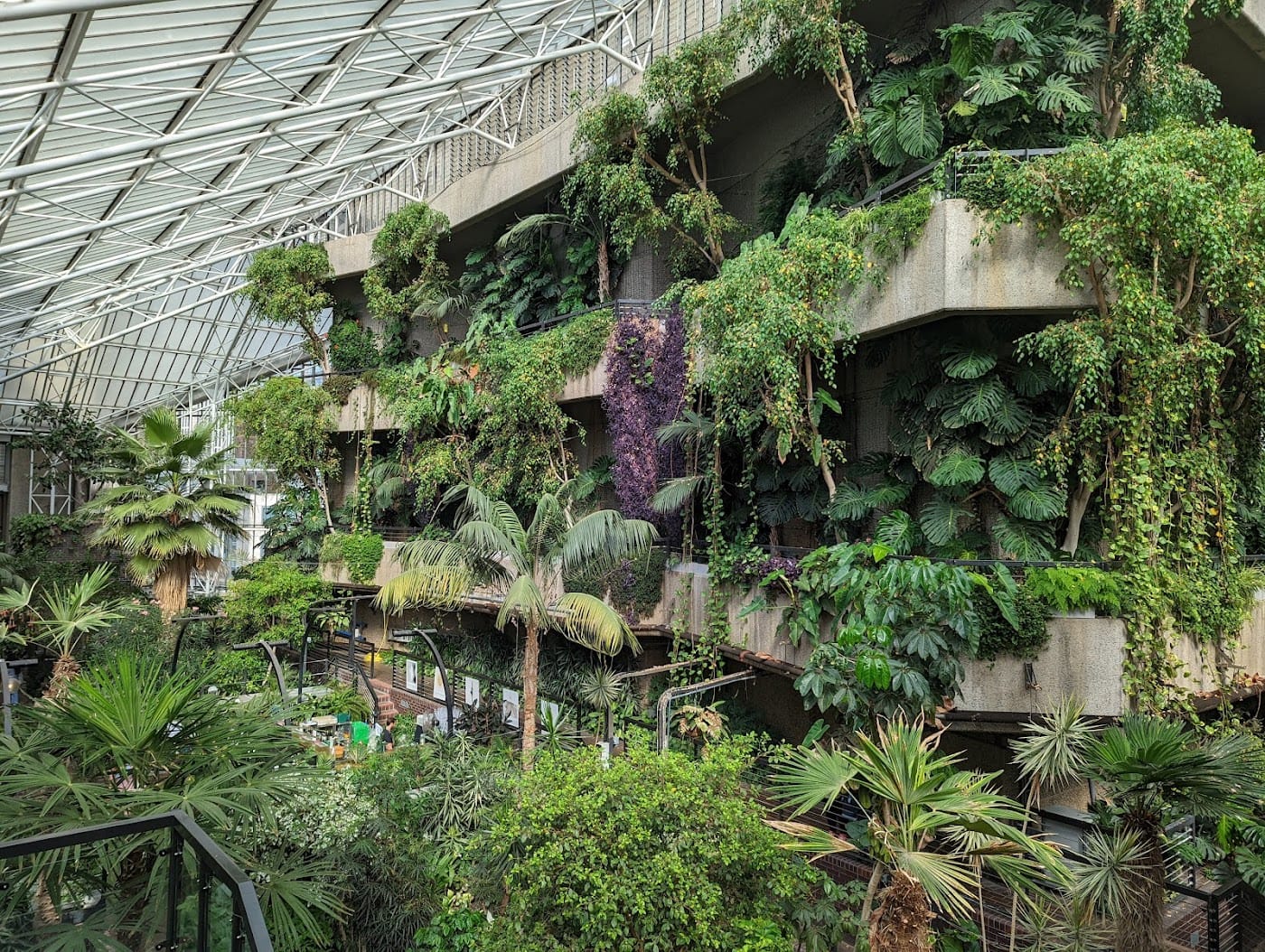 Barbican Centre Kids Library & Conservatory — Barbican Conservatory