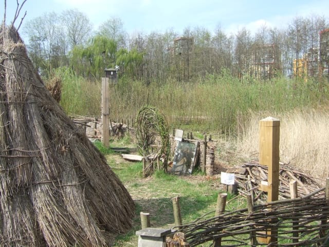 Greenwich Peninsula Ecology Park — Greenwich Peninsula Ecology Park