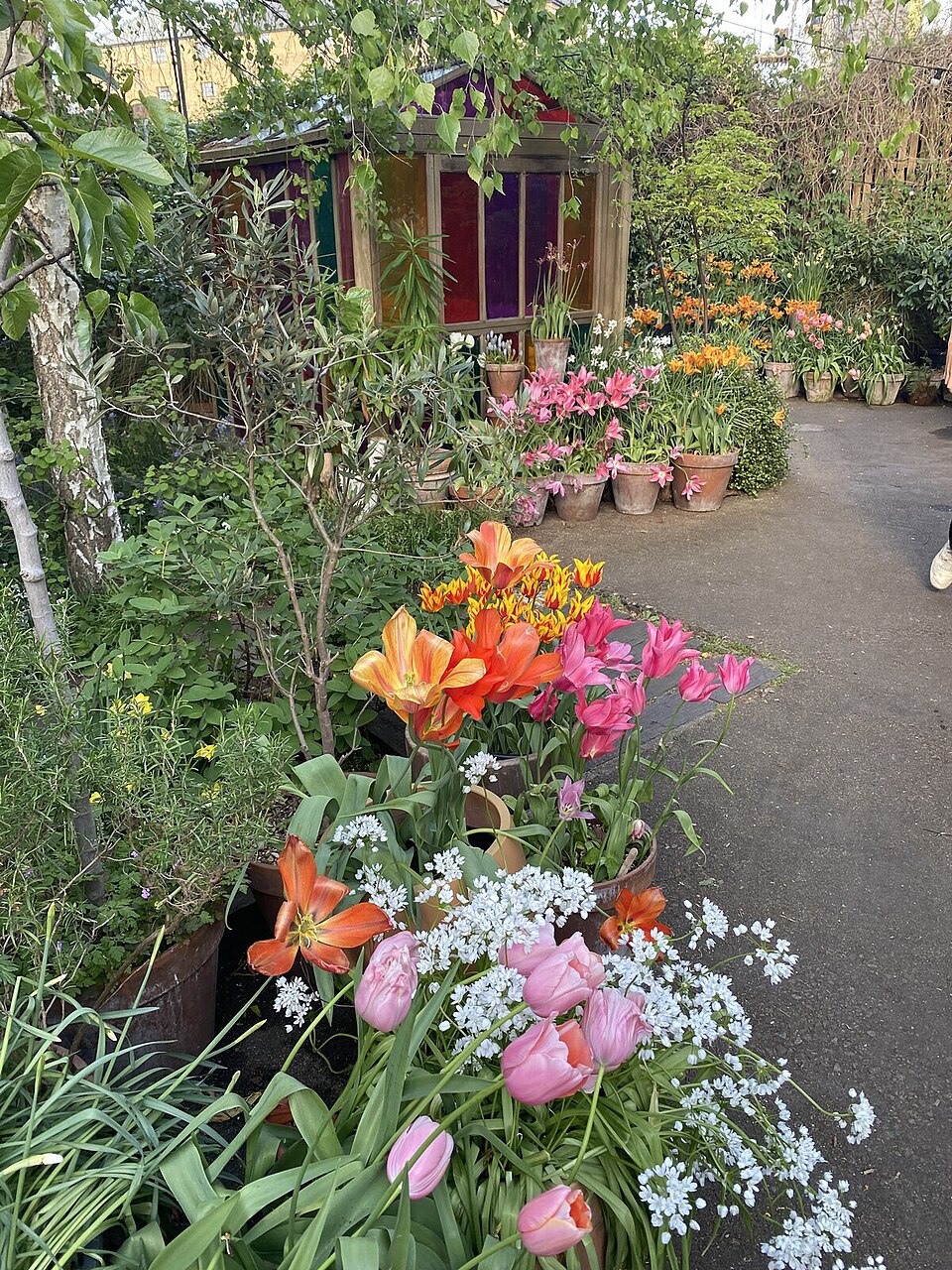 Dalston Eastern Curve Garden — photo 3