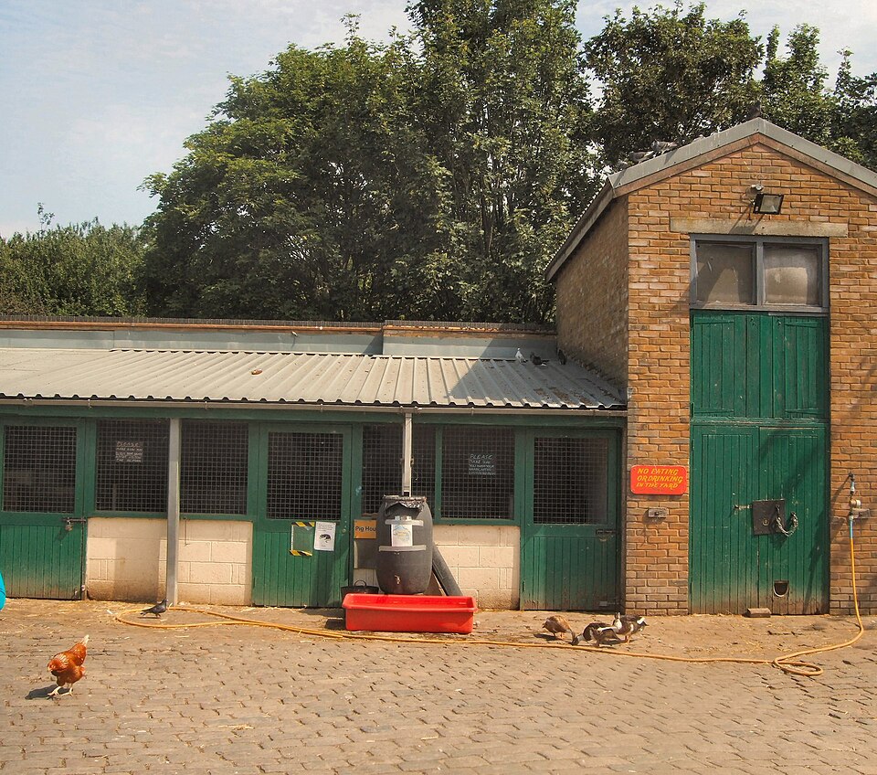 Hackney City Farm — photo 1