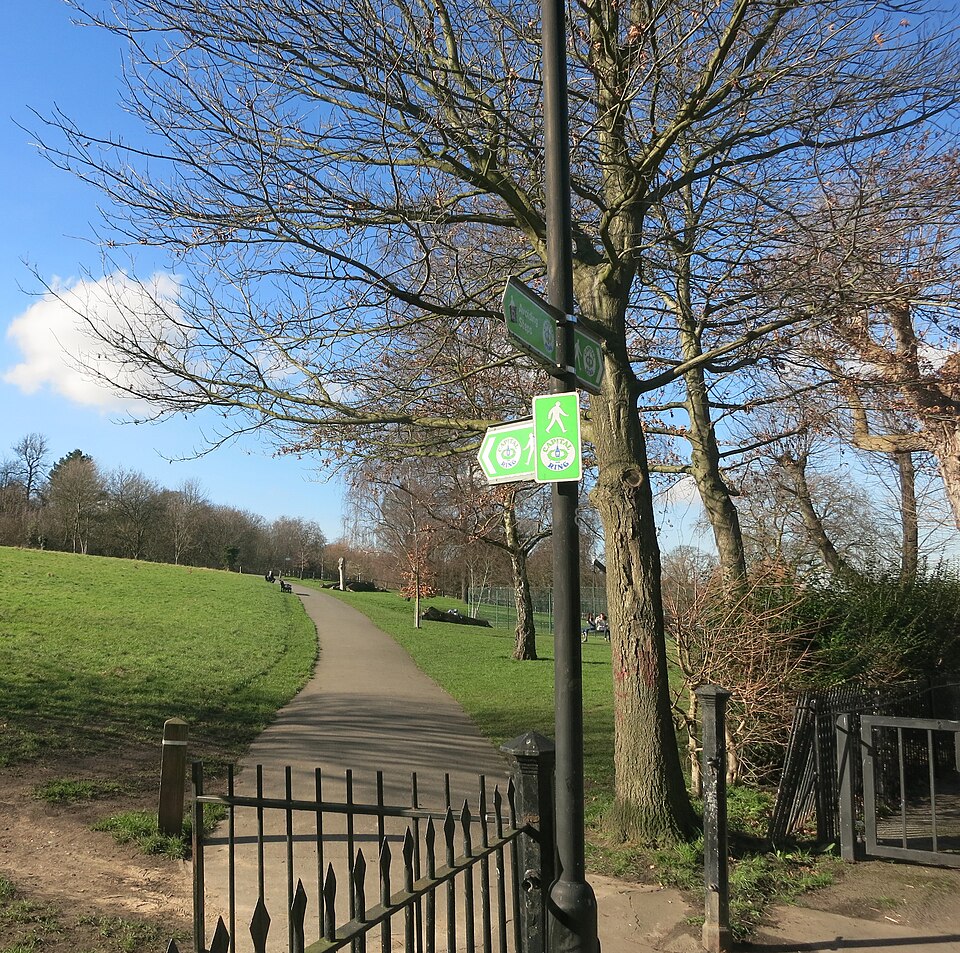 Springfield Park — photo 4