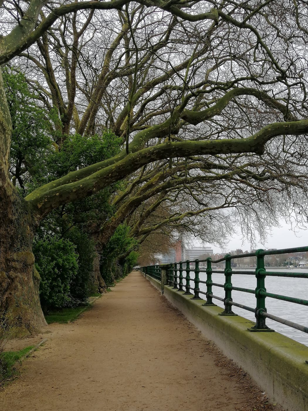 Bishops Park & Paddling Pool — Bishops Park