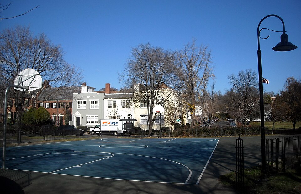 Ducketts Common — photo 3