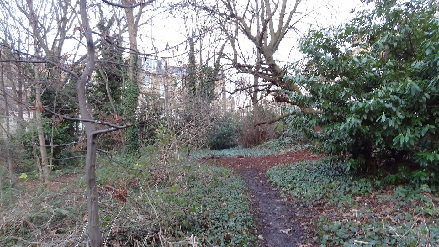 Barnsbury Wood — Barnsbury Wood 6