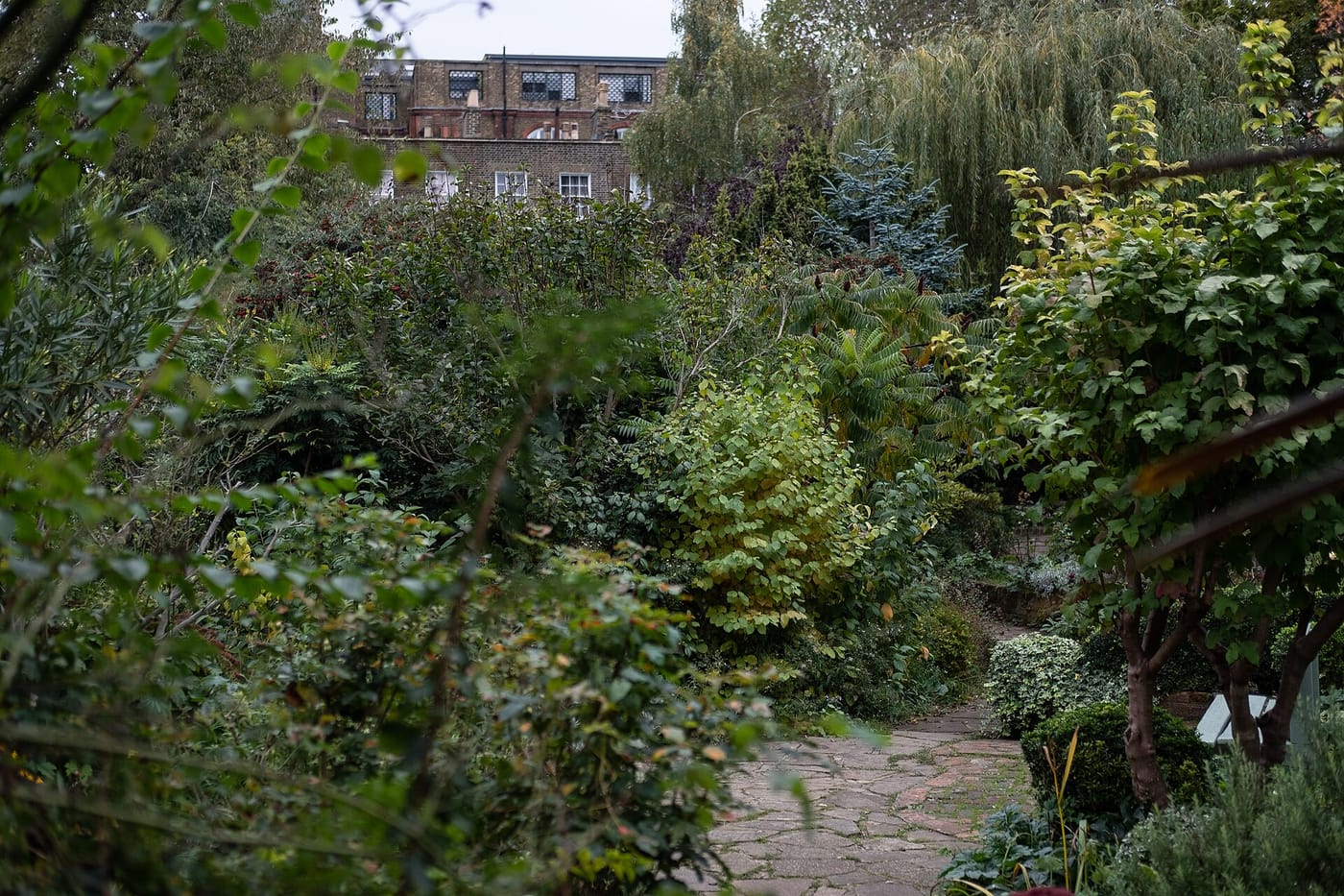 Culpeper Community Garden — Islington , Culpeper Community Garden