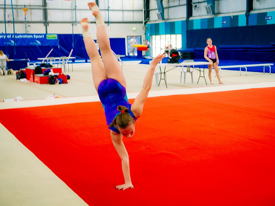 Namixx Gymnastics — photo 1