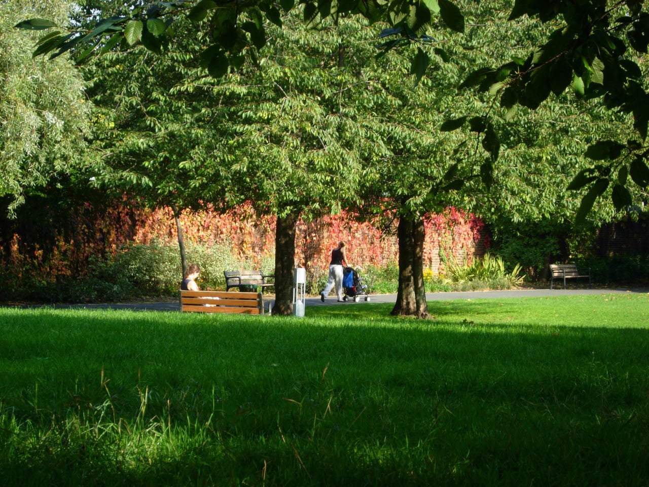 Rosemary Gardens — Rosemary Gardens