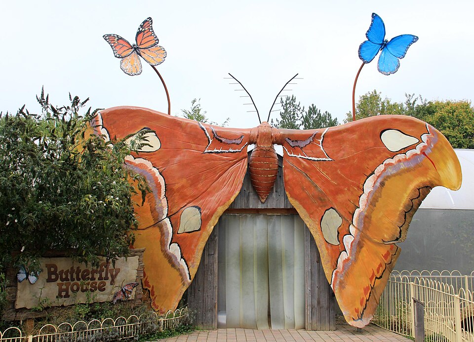 Three Corners Adventure Playground — photo 3