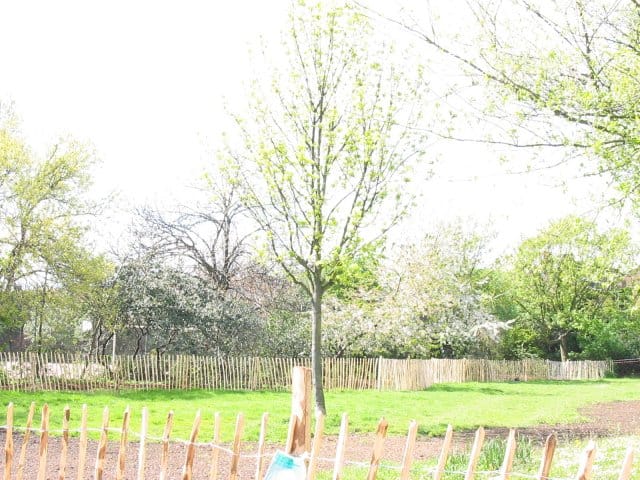 Whittington Park — Whittington Park