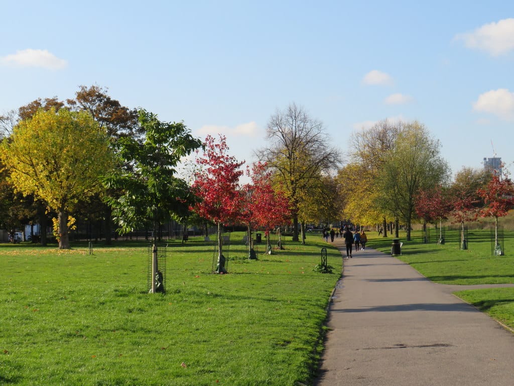 Burgess Park — Autumn in Burgess Park, near Camberwell