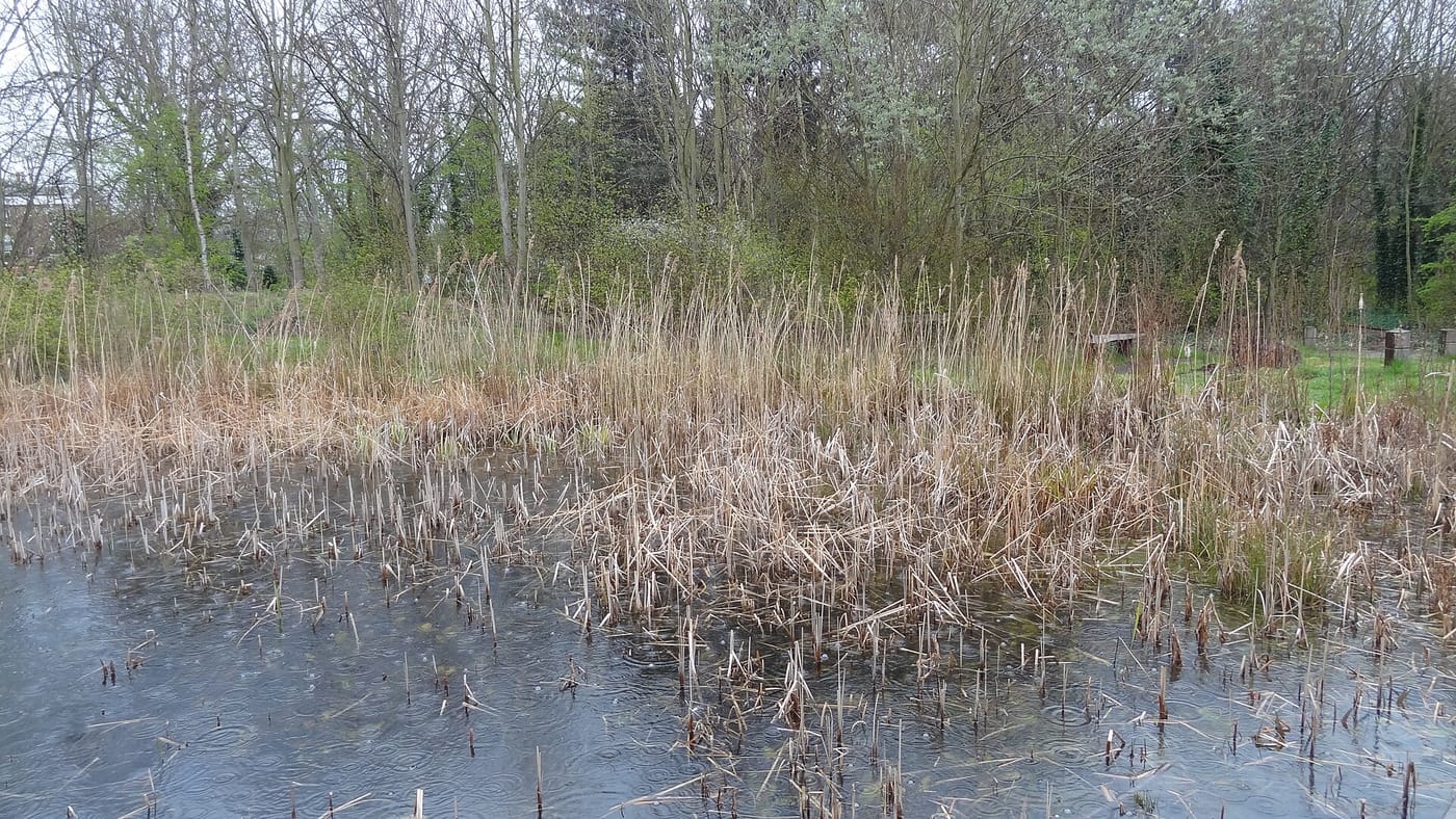 Sutton Ecology Centre — Sutton Ecology Centre Grounds 1